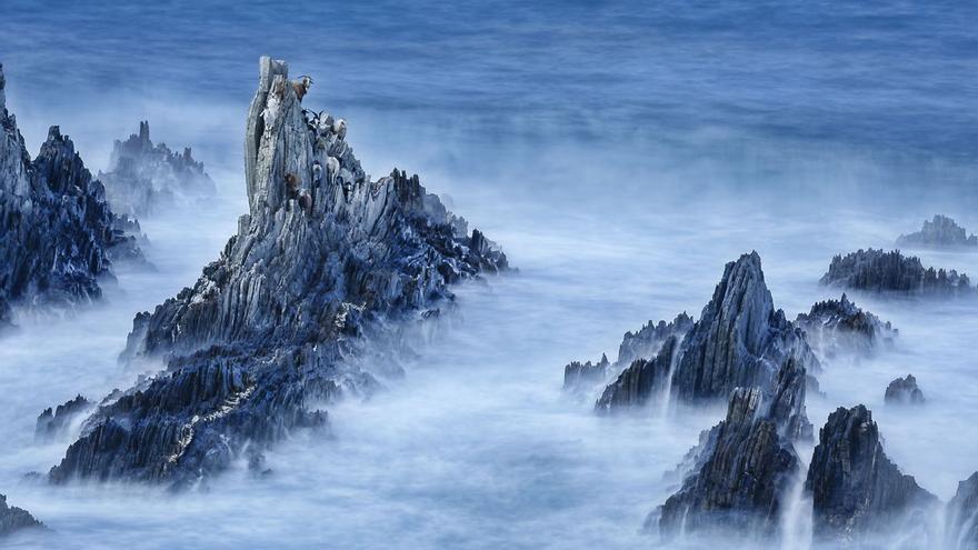 Postales de un Paraíso Natural: Las cautivas del Cantábrico
