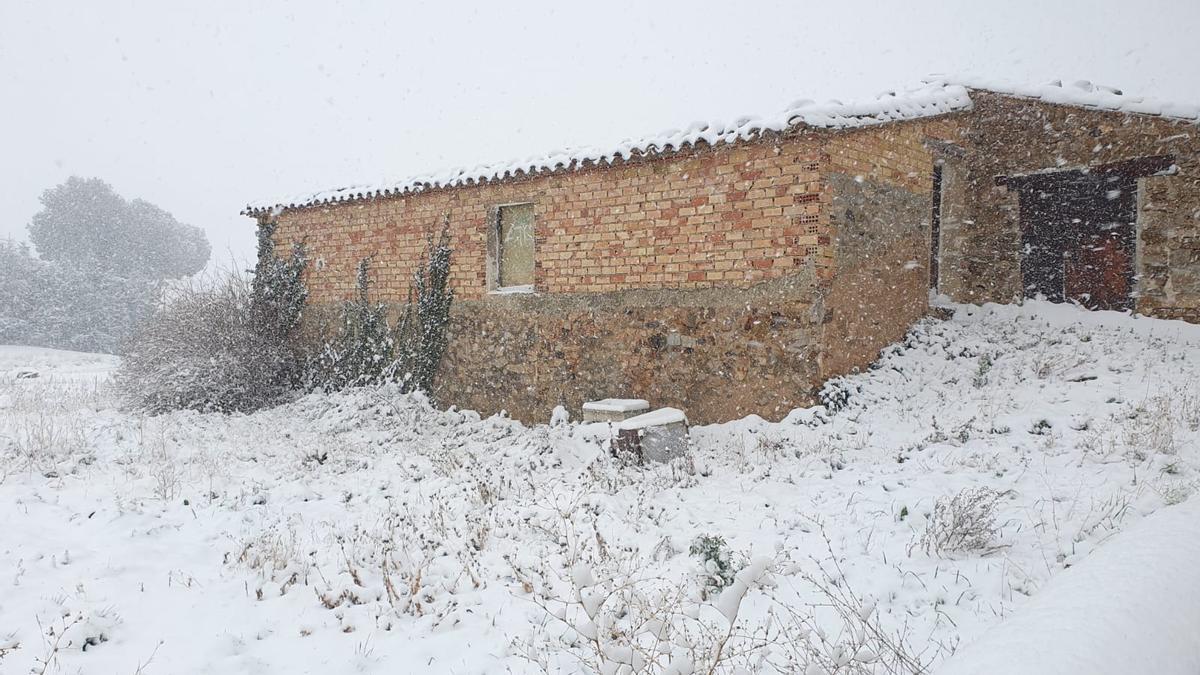 En Litago se han acumulado varios centímetros de nieve