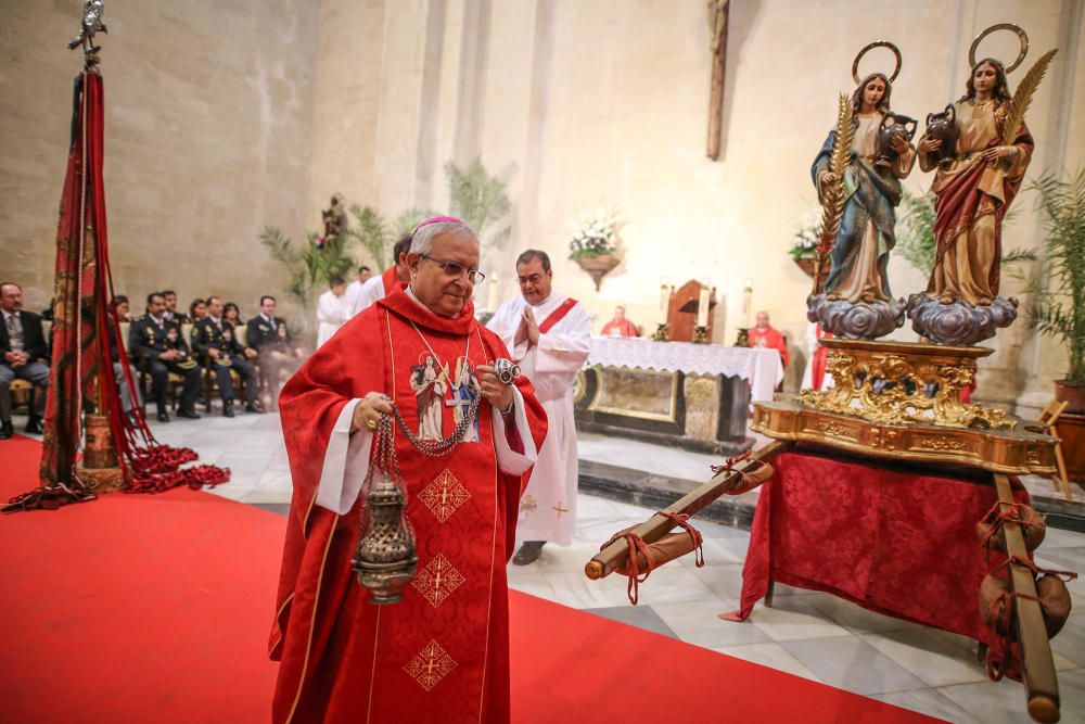 Pájaro Oriol en Orihuela