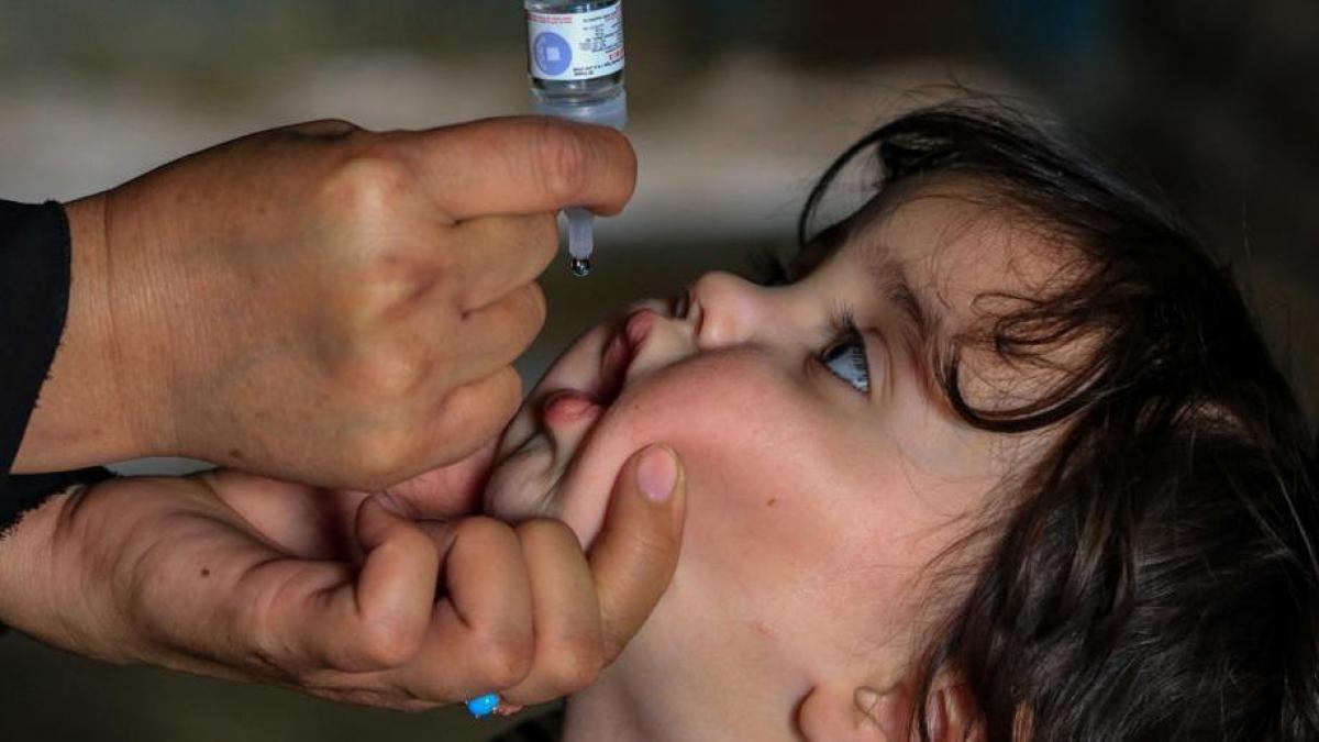 Una niña recibe la vacuna oral contra la polio.