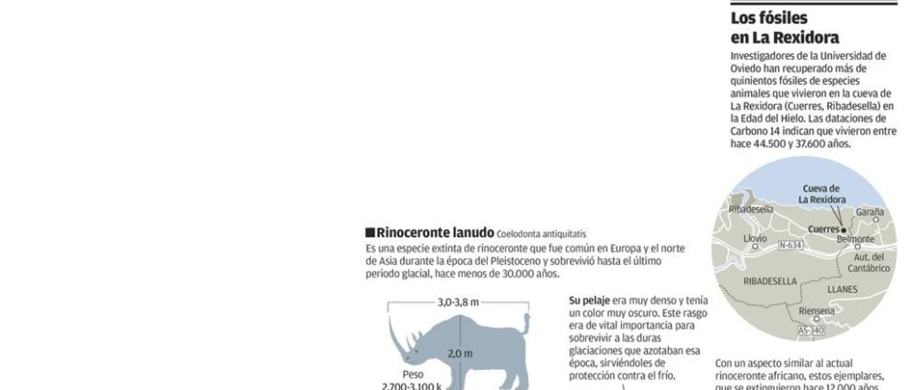 La Asturias de la Edad del Hielo era como el norte de Laponia