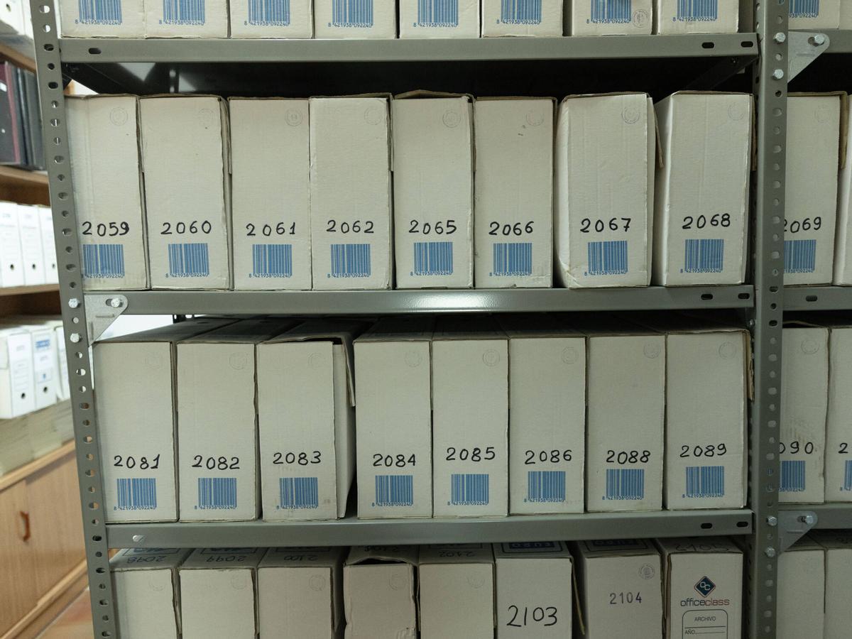 Las mejores imágenes del archivo de Toro