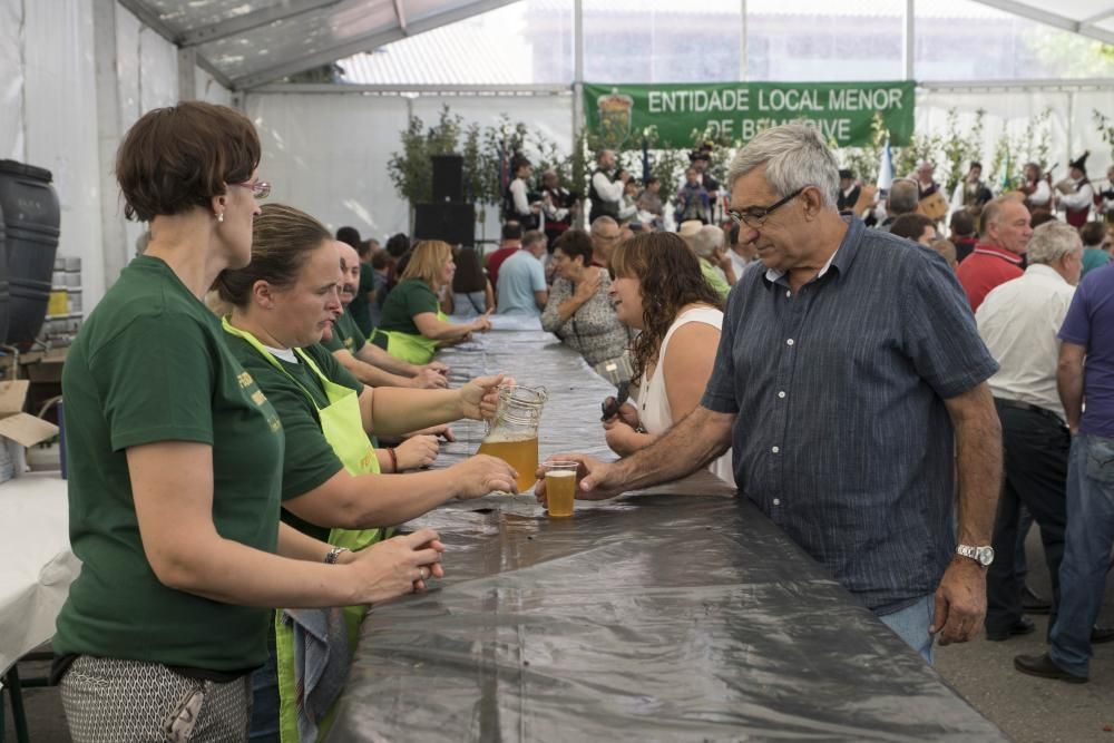 La Festa da Sidra de la parroquia viguesa rompe todas la previsiones, con más de 5.000 asistentes, 1.200 litros del brebaje despachados y 6.000 botellas vendidas. El ANPA Bene Vivere, manzana de oro.