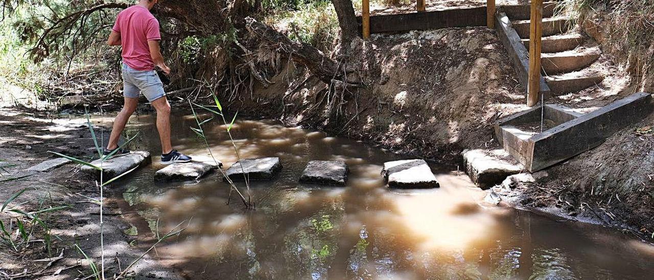 El escaso caudal que el río Vinalopó arrastra en verano está llegando negruzco y maloliente al paraje protegido de El Pantano de Elda.