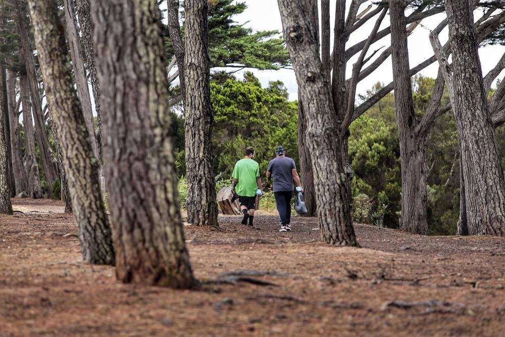 Apertura de las zonas recreativas de Tenerife