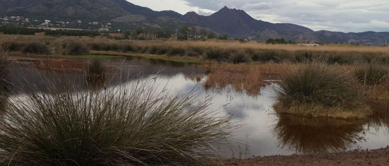 El proyecto pretende hacer compatible la protección del humedal con solucionar las inundaciones en las casas. | BELLIDO