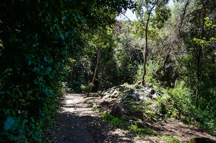 TURISTAS JARDIN CANARIO