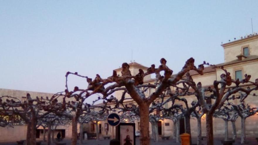 Cielos despejados esta mañana, en la vista de la Plaza de Viriato