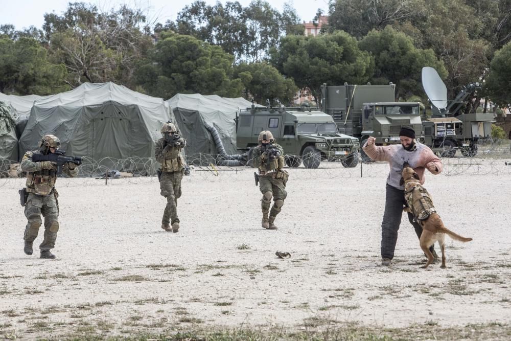 Los boinas verdes son soldados expertos en operaciones que, por su alta especialización, no pueden se desarrolladas por otras unidades, como el rescate de rehenes, reconocimientos especiales o capturas de jefes de redes criminales en territorio hostil