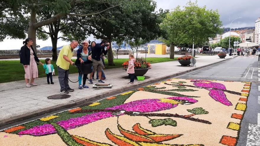 Alfombristas de cinco colectivos reclaman el cese del presidente de la Federación Gallega