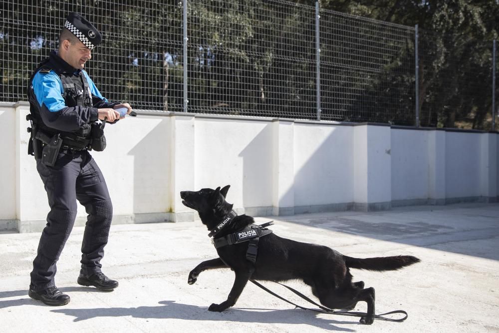 La Unitat Canina de la Policia Local de Lloret de Mar, en acció