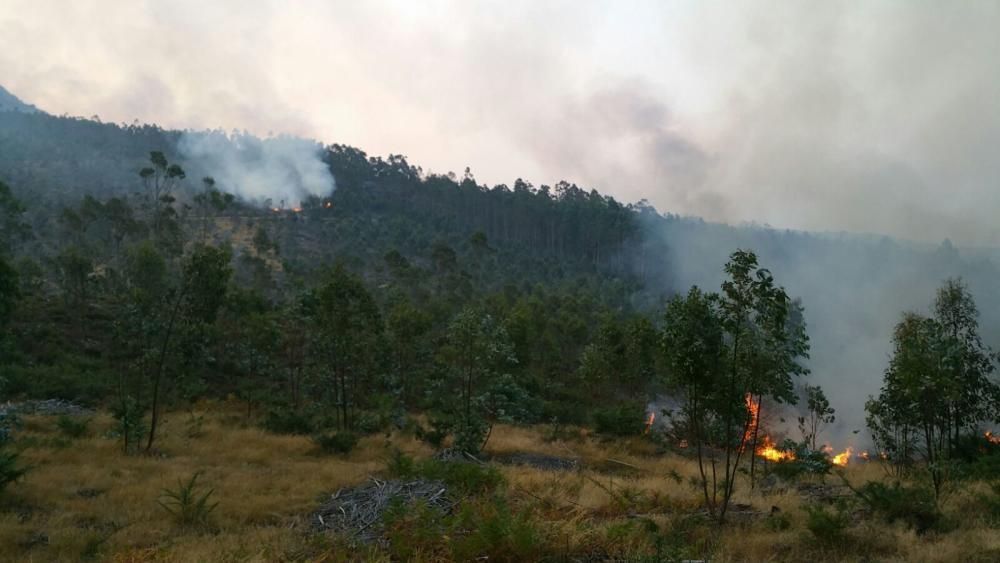 Incendios en Galicia | El fuego de Porto do Son arrasa el monte de A Curota