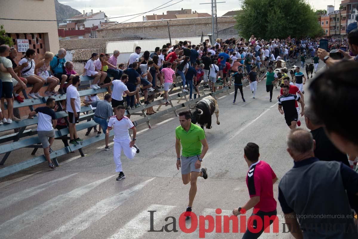 Primer encierro de la Feria del Arroz de Calasparra