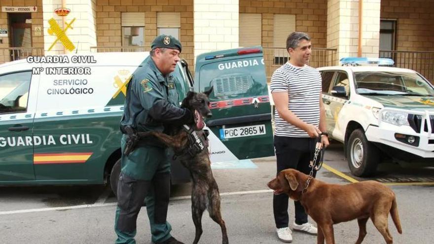 Final feliz en el adiós de la Guardia Civil a Max, un perro 