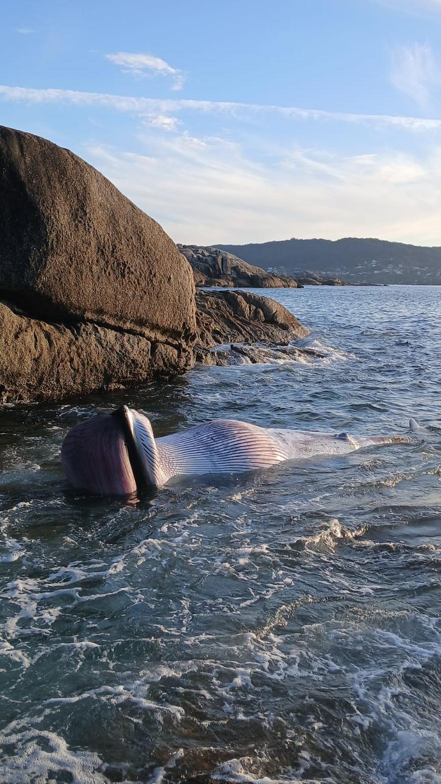 WhatsApp Image 2025 09 24 at 20.23.20