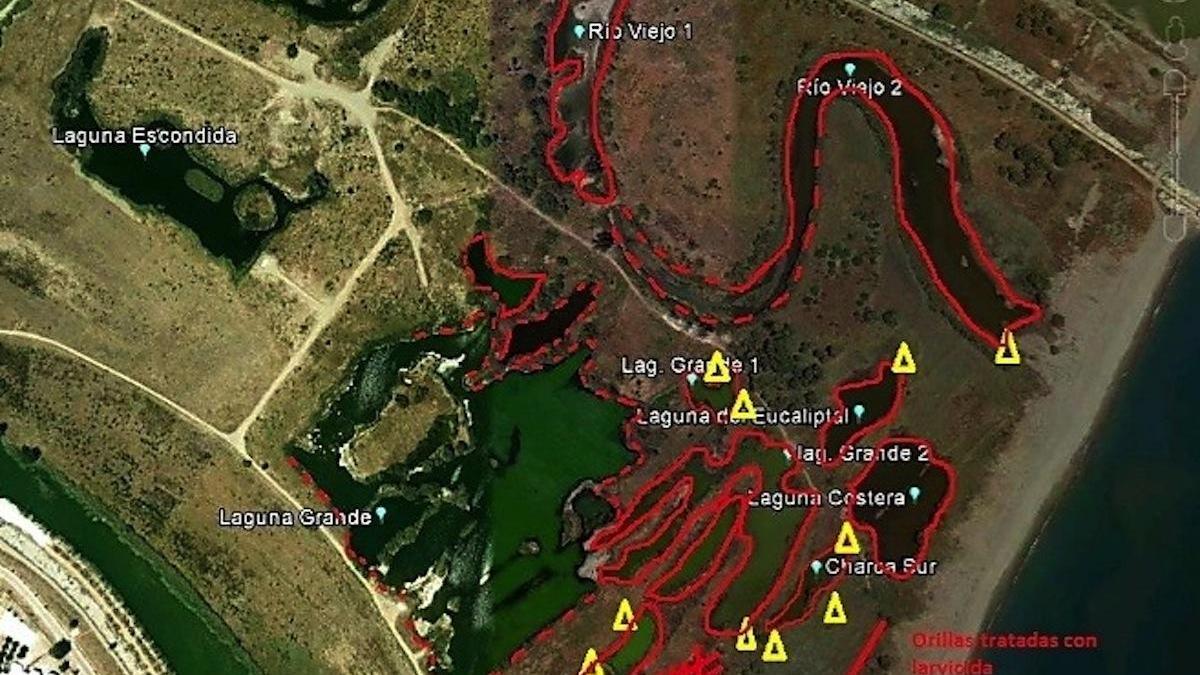 Zonas en las que se ha actuado contra la población de mosquitos en el entorno del Guadalhorce.