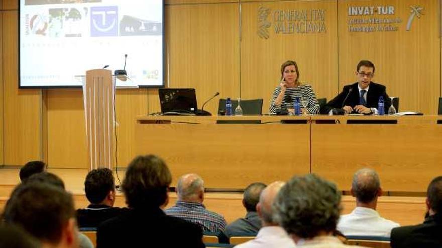 Benidorm participa en un plan de mejora de la calidad turística