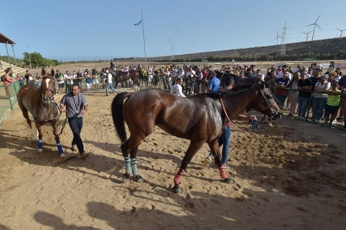 27-07-2019 SANTA LUCIA DE TIRAJANA. Primeras carreras de caballos en el hipodromo de Santa Lucía, tras cuatro años cerrado  | 27/07/2019 | Fotógrafo: Andrés Cruz