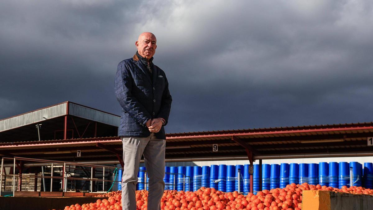 Juan José Felici, director general de Agriconsa.