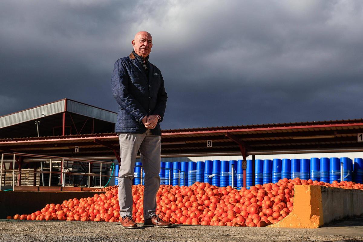 Juan José Felici, director general de Agriconsa.