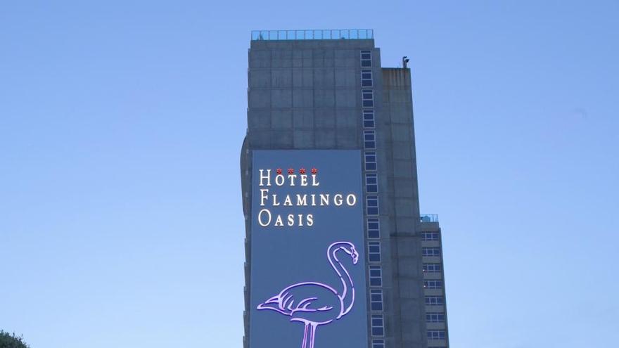 Hotel Flamingo Oasis