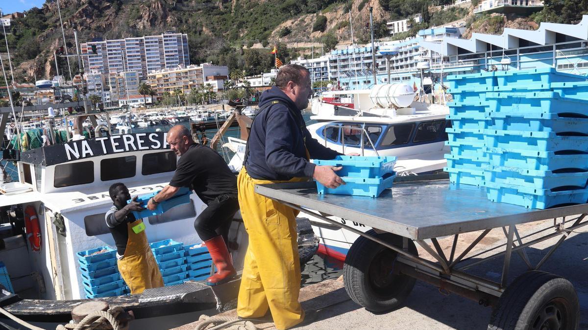 Tres pescadors carregant el peix.