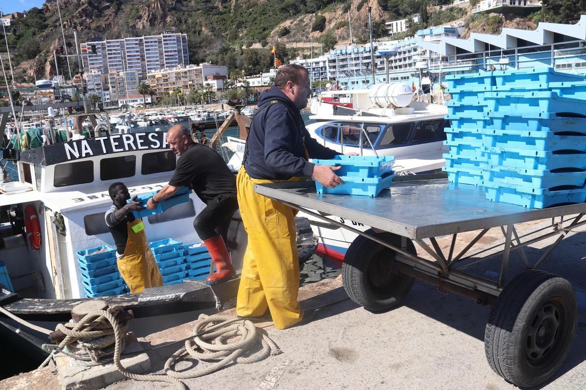 Tres pescadors de Blanes carregant el peix.