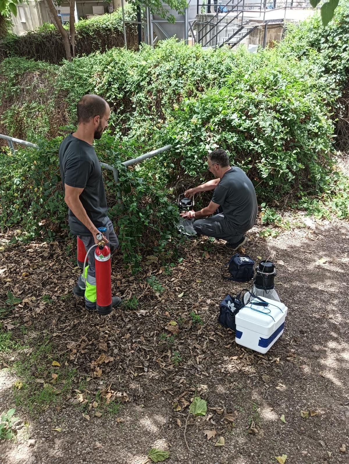 Dos técnicos de zoonosis realizan análisis en zonas con vegetación.