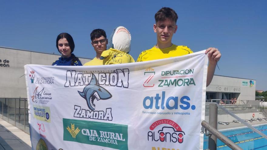 El botín del Natación Zamora: Seis medallas y dos mínimas para el Campeonato de España