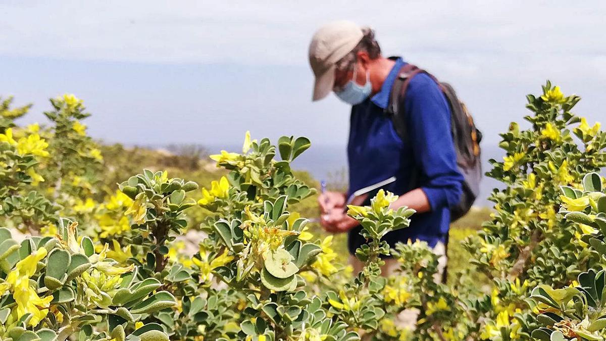 Herbívoros: un peligro  | J.M.L.R.