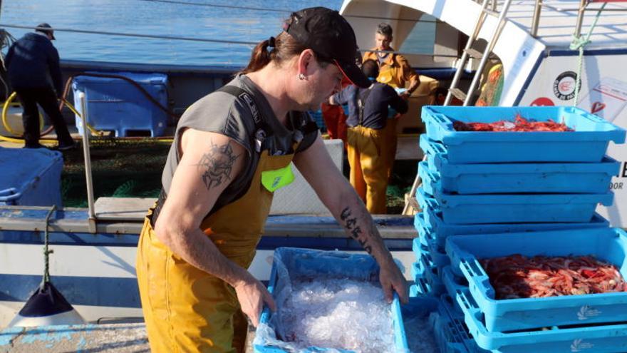 Descarregant gamba a Palamós.