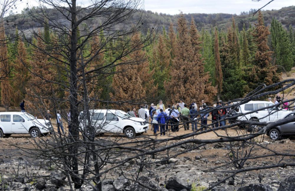 Andilla: ocho años desde su gran incendio