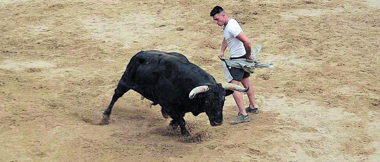 Los aficionados volvieron a disfrutar ayer de la exhibición de toros cerriles.