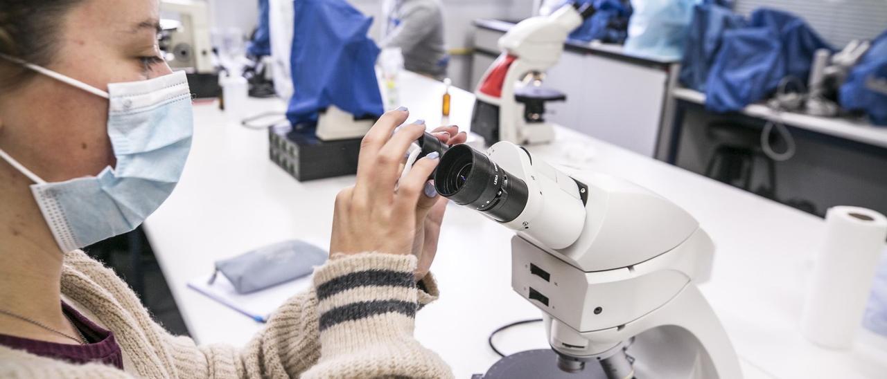 Un laboratorio de la Universidad de Oviedo. | Irma Collín