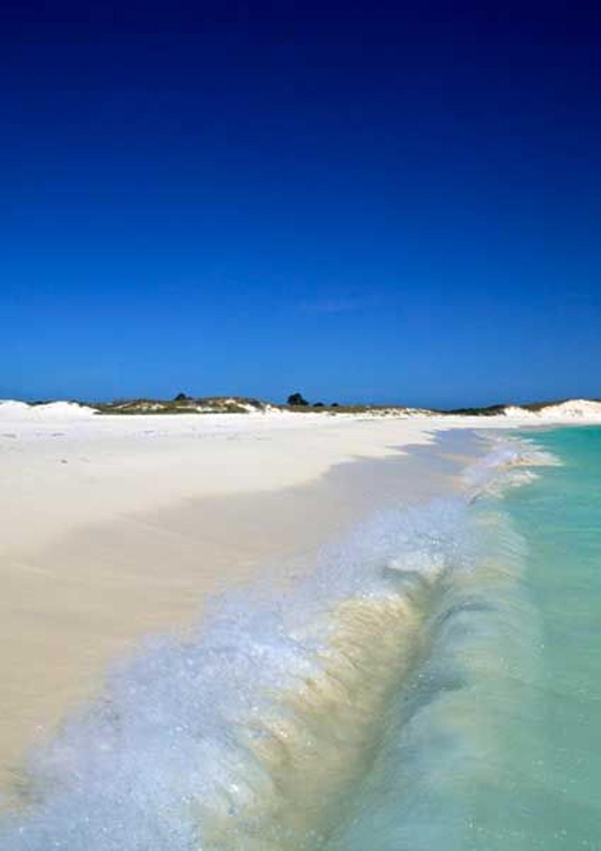 Cayo de agua, los Roques