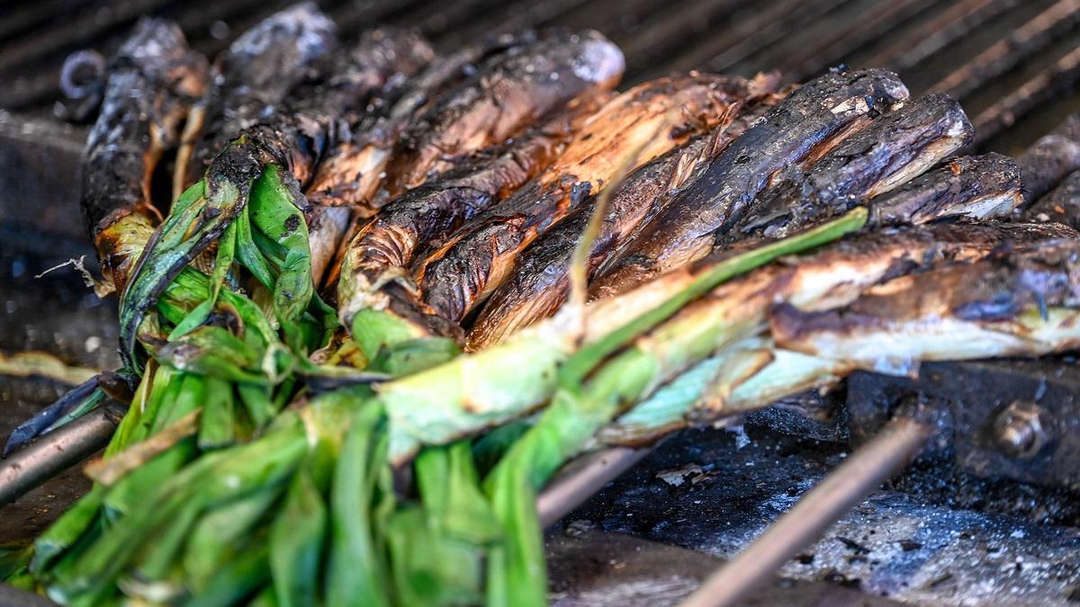 'Calçots' sezonu son yağışlar nedeniyle iyi beklentilerle başlıyor