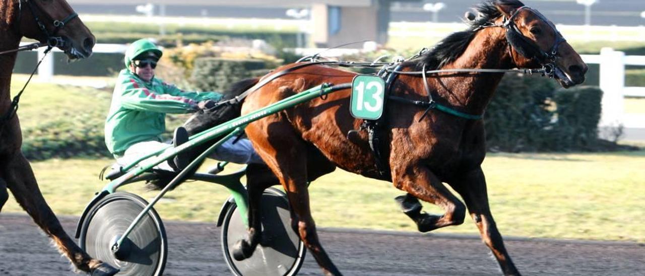 El caballo francés The de Chine en su única victoria en una carrera de Quinté de París-Vincennes.