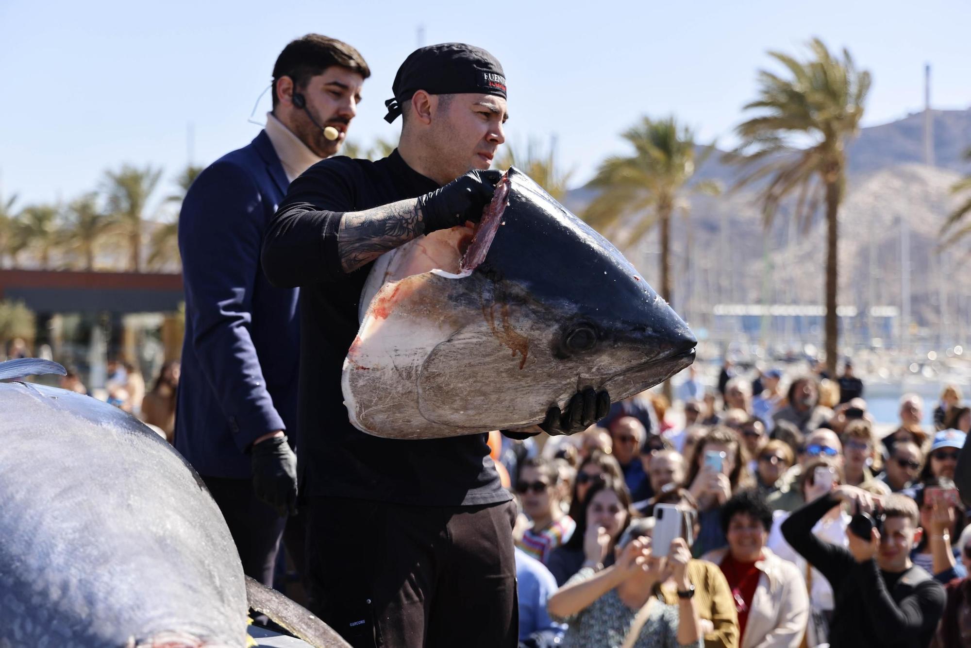 Actividades en el Puerto con motivo de la gala de la Guía Repsol en Cartagena