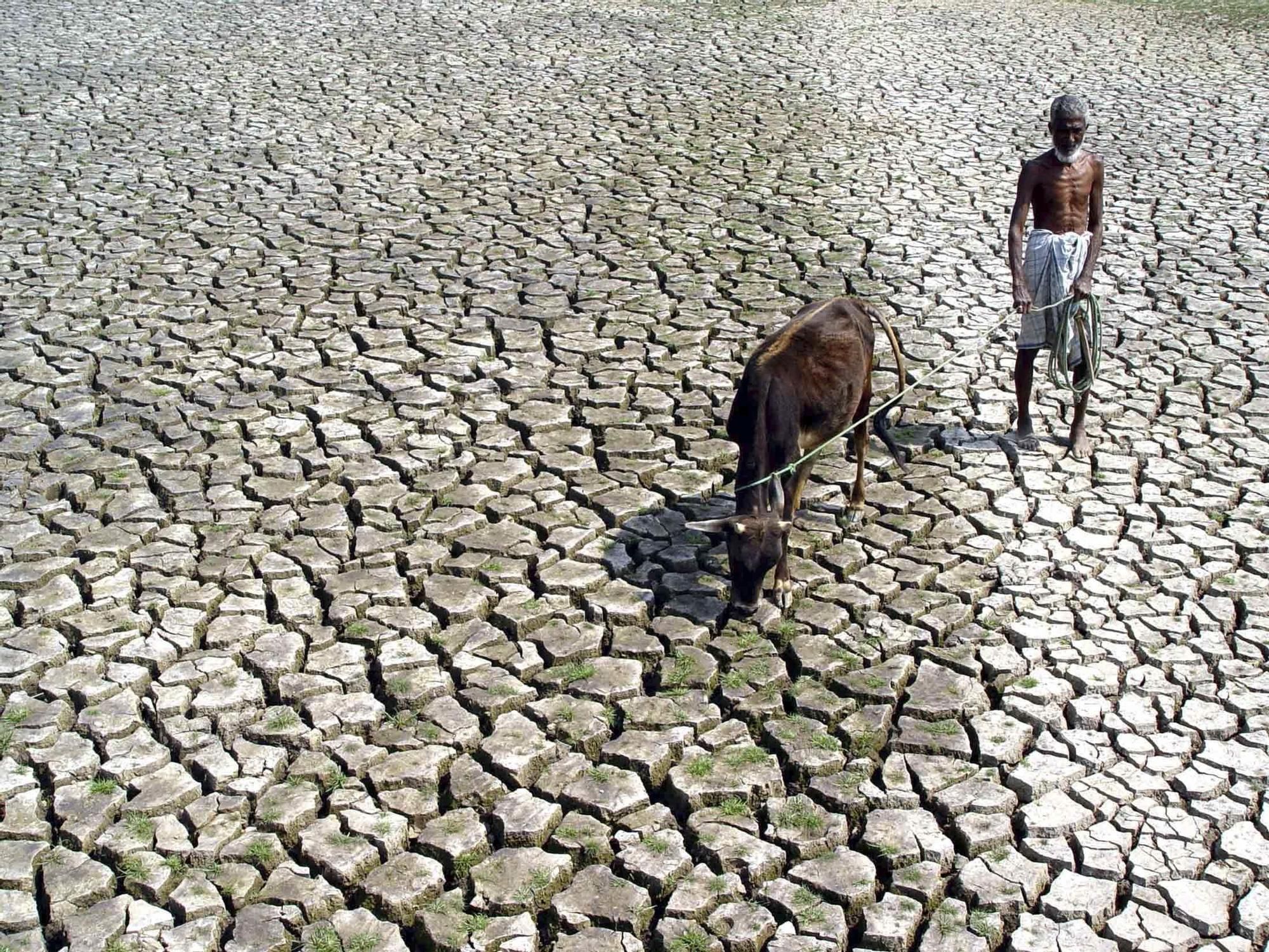 Agricultor afectado por el cambio climático en la india.