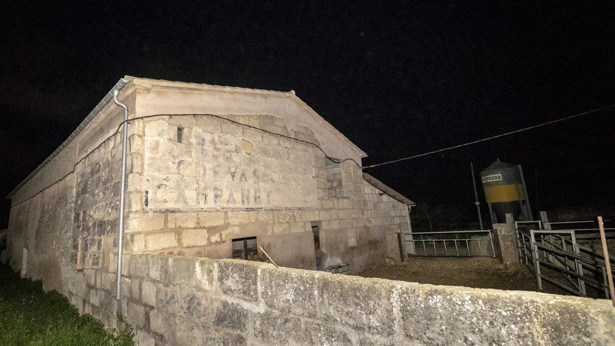 In einem Stall bei Inca ist ein 76-jähriger Landwirt gestorben, nachdem ein Stier ihn attackiert hatte.