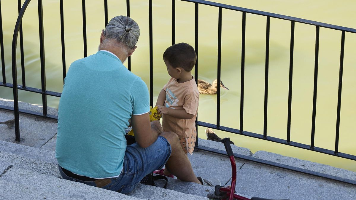 El permiso de paternidad de ocho semanas se podrá acoger desde agosto.