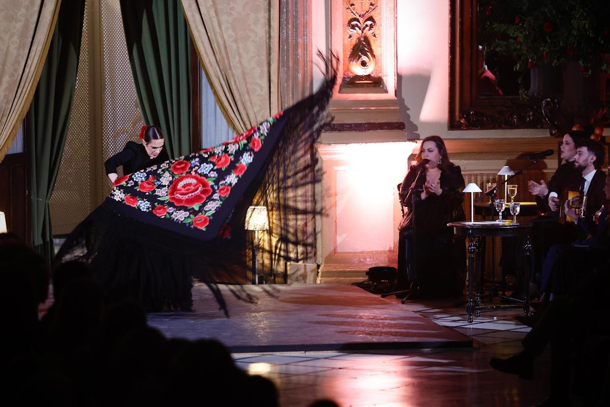 Desfile solidario de Alcer Córdoba en el Círculo de la Amistad