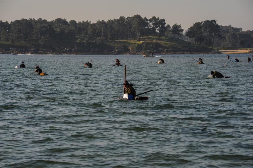 El marisqueo también genera turismo