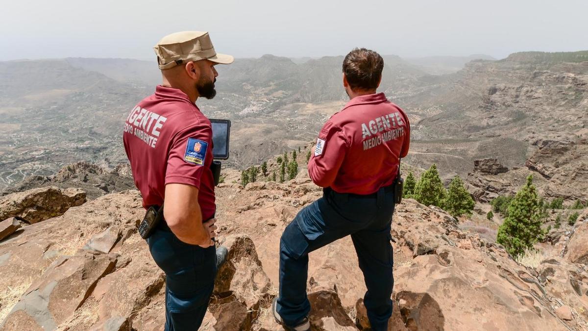 Gran Canaria permanece en alerta máxima por riesgo de incendios forestales debido al calor, la baja humedad y el viento