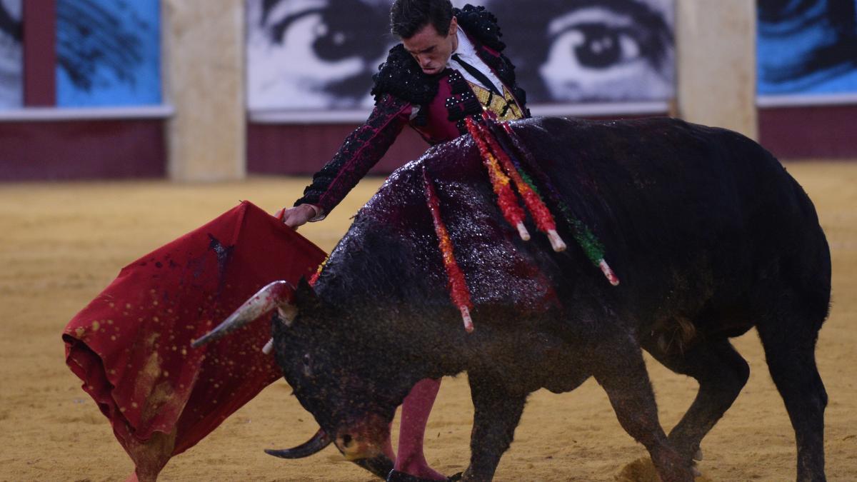 Los toros vuelven a La Malagueta