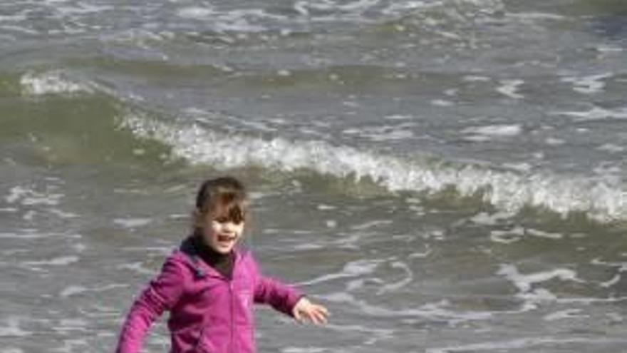 Castelló tendrá playa para perros