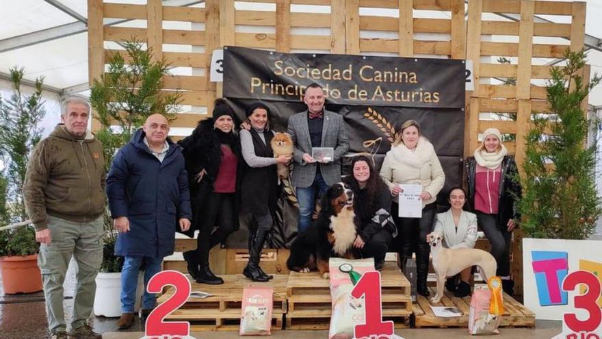 El podio absoluto del concurso de perros con pedigrí. | R. T. C.