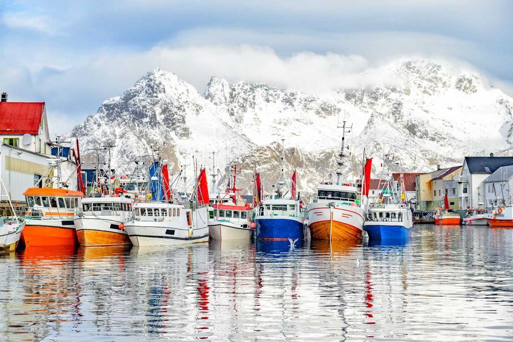 Barcos de pesca en Lofoten