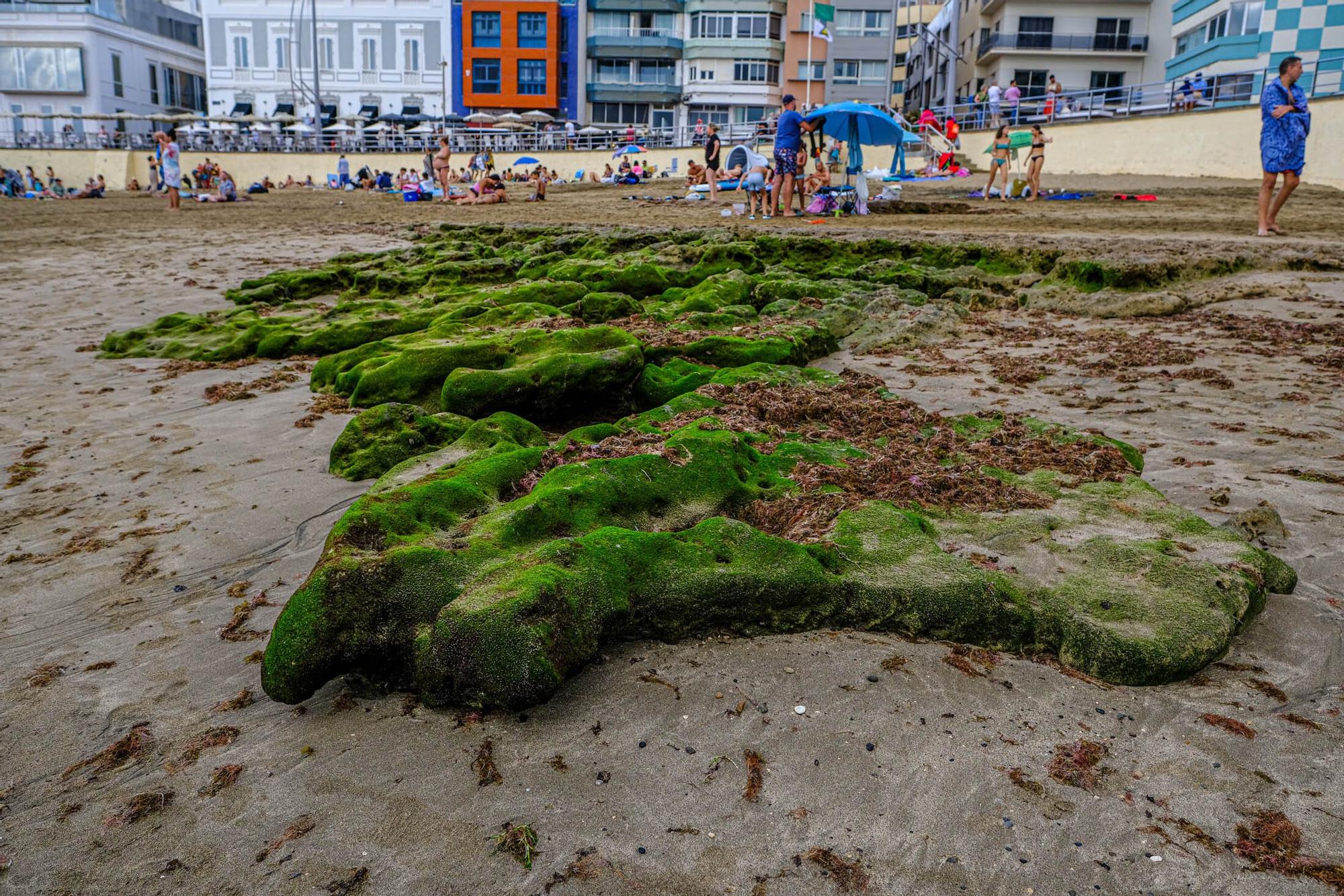 Playas fósiles de Las Canteras