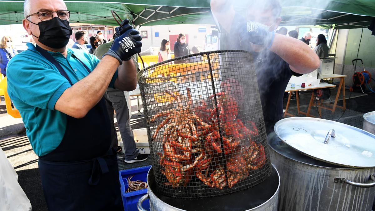 Centollas listas para cocer en una fiesta de exaltación de este marisco en Galicia